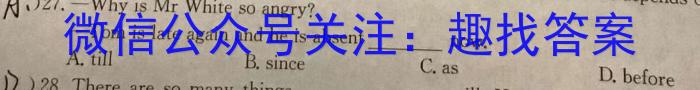 衡水金卷先享题月考卷 2023-2024学年度上学期高三六调(湖南专版)考试英语试卷答案