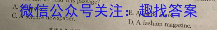 甘肃省武威某校2023-2024学年第二学期九年级学情评估试卷英语