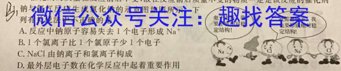 j2024年衡水金卷先享题高三一轮复习夯基卷(甘肃专版XD)(二)化学试卷答案