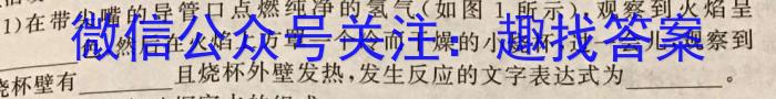 3天一大联考 2024届高考全真模拟卷(三)3化学试题