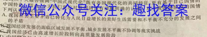 2024年陕西省初中学业水平考试全真模拟试卷（二）A政治~