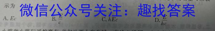 王后雄2024年普通高等学校招生全国统一考试预测卷物理试题答案