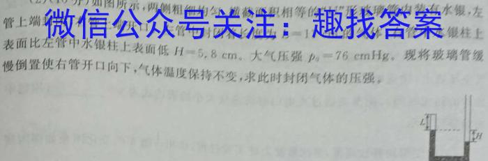 湘楚名校2024-2025学年度上学期高三年级八月联考(10001C)(2024.8)物理试卷答案