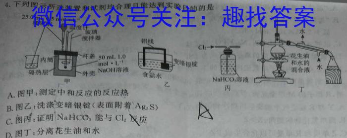 32024届衡水金卷先享题调研卷(重庆专版)二化学试题