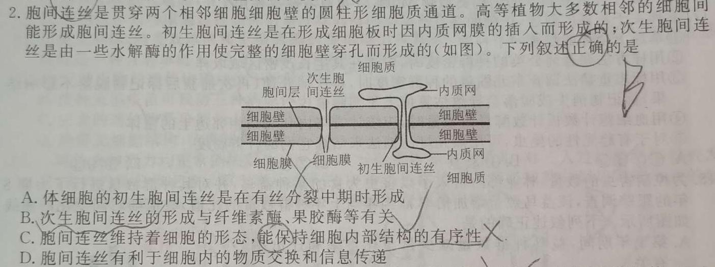 衡水金卷先享题 2023-2024学年度下学期高三年级一模考试生物学部分