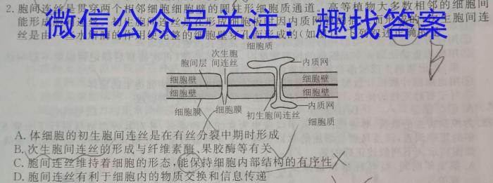 2024年江西省吉安市高一下学期期末教学质量检测(2024.6)生物学试题答案