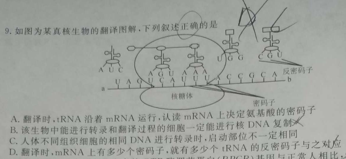 神州智达 2023-2024高一省级联测考试·上学期期末考试生物