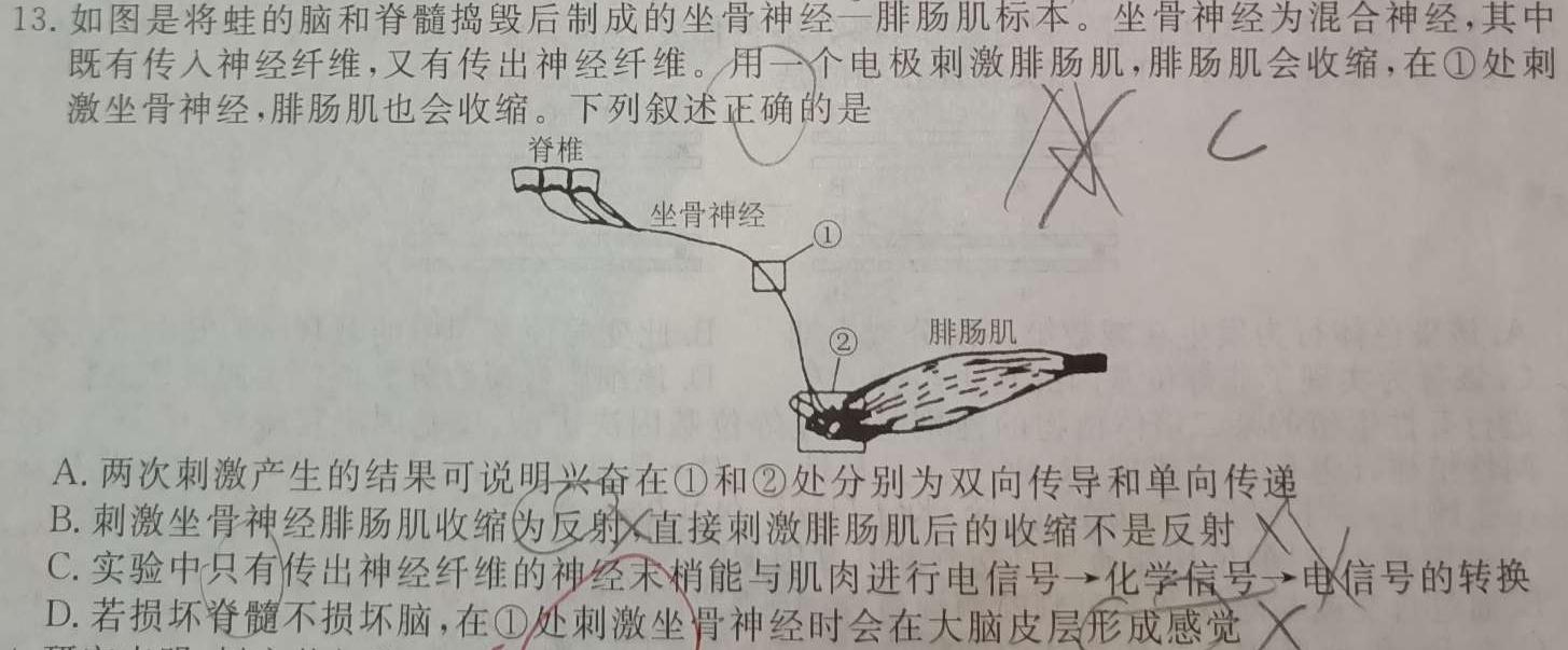 2024年河北省初中毕业生升学文化课模拟测评（六）生物学部分