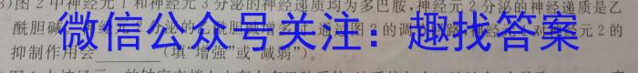 重庆市部分区2023-2024学年度第二学期期末联考（高二）生物学试题答案