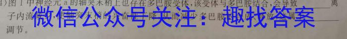 天一大联考 亳州市普通高中2023-2024学年度第一学期高一期末质量检测生物学试题答案