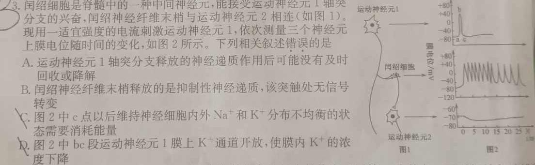 2024届湖南省普通高中学业水平合格性考试测试模拟卷(一)1生物学部分