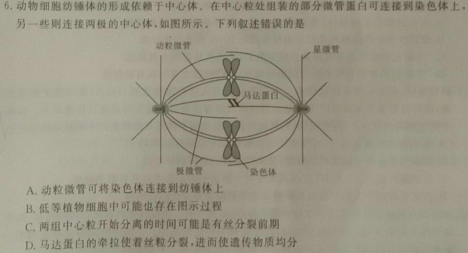 2024届衡水金卷先享题调研卷(A)(3)生物学部分