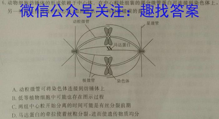 安徽省枞阳县2023-2024学年度高一上学期期末考试生物学试题答案