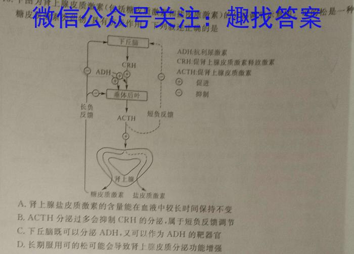 百师联盟2023-2024学年度高一期末联考生物学试题答案