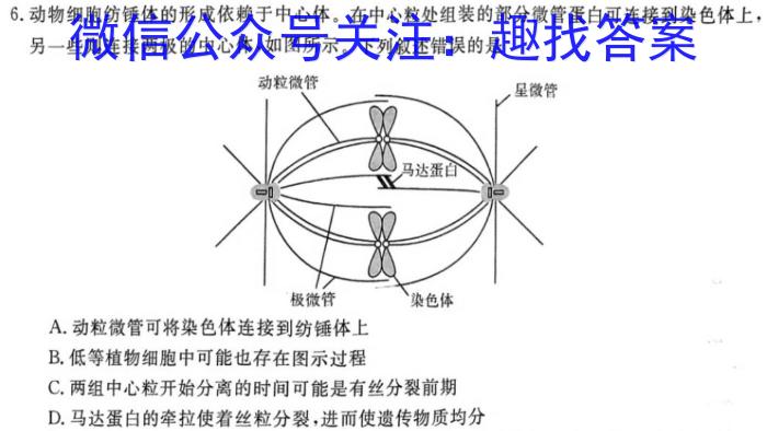 湘豫名校联考 2024届春季学期高三第四次模拟考试生物学试题答案