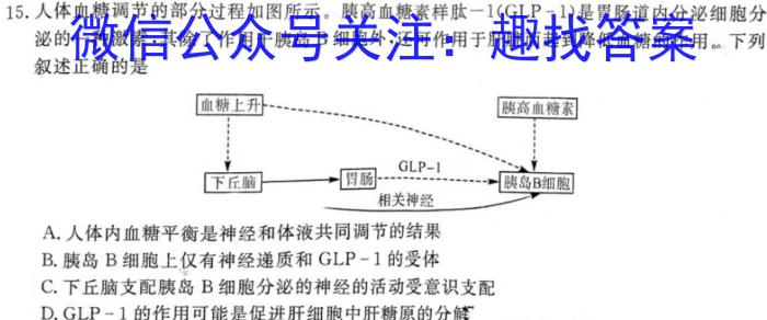 安徽省2024-2025学年太和中学高二年级上学期开学考试(25-T-036B)生物学试题答案