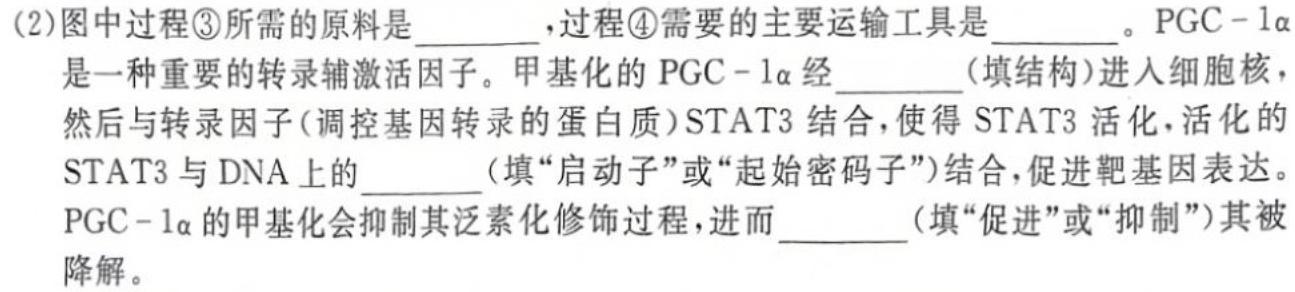 山西省2024-2025学年高三第一次月考检测卷生物