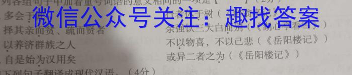 衡水金卷 广东省2024届高三年级12月份大联考语文