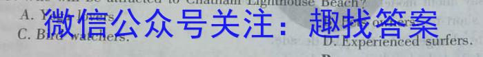 安徽省2024年九年级考前适应性评估(一) 6L英语