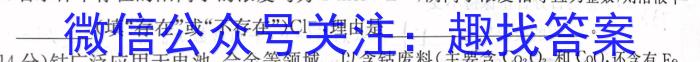 32024届衡水金卷先享题调研卷(甘肃专版)二化学试题