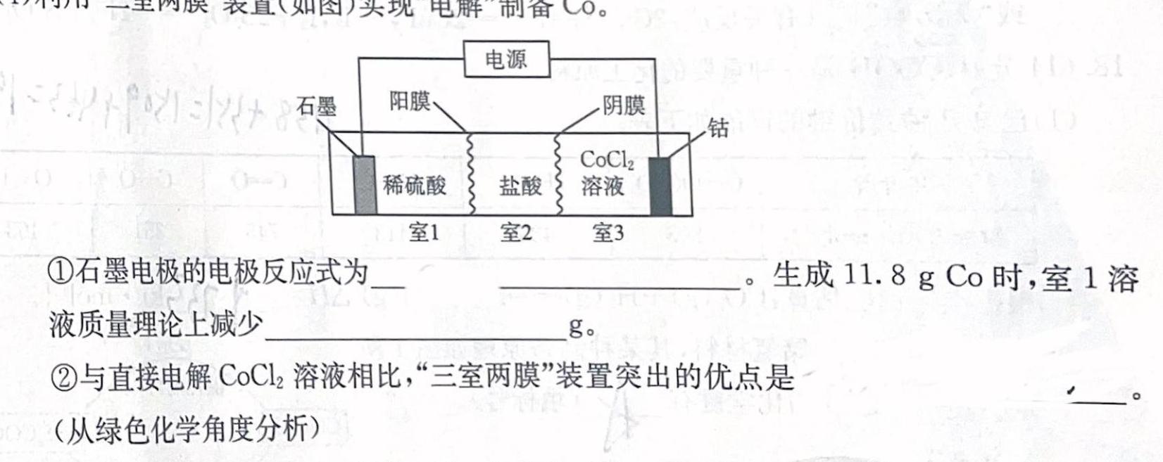 12023-2024学年上学期保定市高一年级1+3联考12月月考化学试卷答案