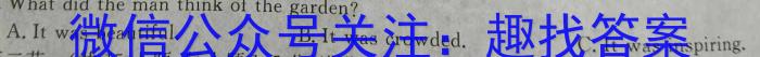 陕西省2024年九年级仿真模拟示范卷 SX(六)6英语