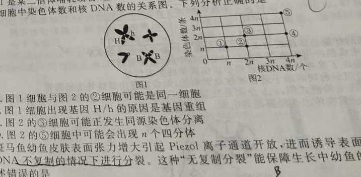 河南省新乡市2024年七年级学业水平调研抽测生物学部分