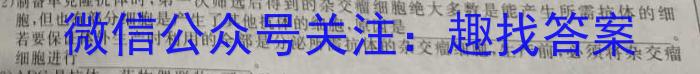 河北省衡水中学2024-2025学年度高二年级上学期第一学期综合素养测评生物学试题答案