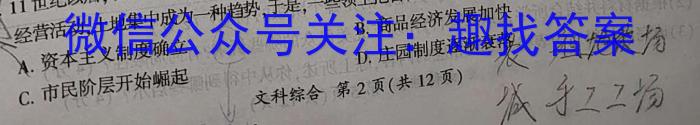 2024届新高考单科模拟检测卷(六)6历史试卷答案