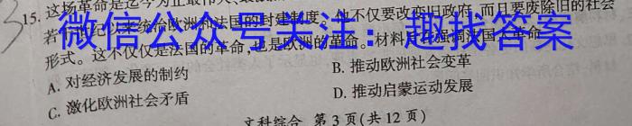 2024年河南省初中学业水平考试全真模拟试卷(二)历史试卷答案