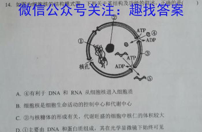 2024届高三年级1月大联考（新课标II卷）生物学试题答案