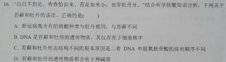 安徽省2024年中考总复习专题训练 R-AH(十一)11生物