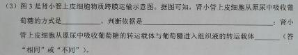 炎德英才大联考 雅礼中学2024届高三月考试卷(八)8生物学部分