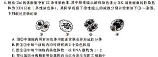 长春二实验中学高二(下)期中测试卷(4432B)生物