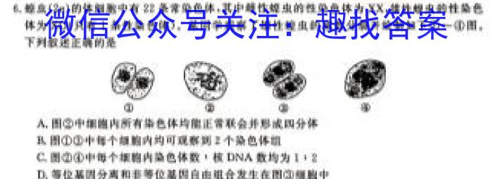 全国大联考 2024届高三第七次联考 7LK·(新高考)生物学试题答案