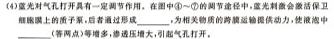 2024届衡中同卷信息卷 新高考版A生物学部分