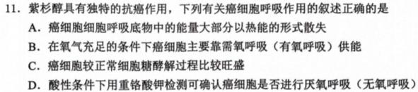 乌兰浩特一中2023~2024学年高三年级上学期期末考试(243499Z)生物学部分