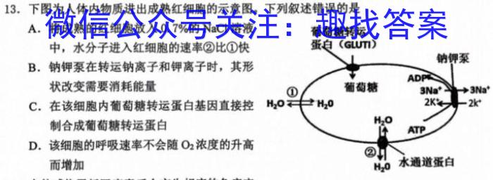 九师联盟 2024届高三12月质量检测巩固卷(新教材-L)G生物学试题答案