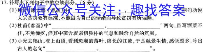 河北省2023-2024学年度第一学期九年级素质调研四/语文