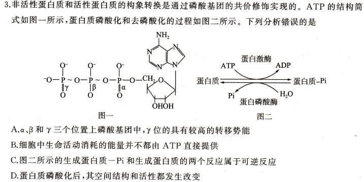 张家口市2023-2024学年度高一年级第一学期期末考试生物学部分