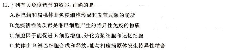 皖智教育 安徽第一卷·2024年中考安徽名校大联考试卷(二)2生物