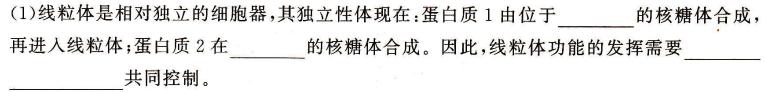 2024届安徽高三冲刺高考信息回头看(十三)生物试卷答案.