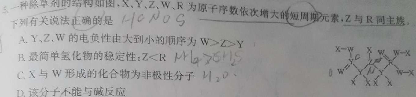 1河南省驻马店市2023-2024学年度第一学期九年级阶段监测（三）化学试卷答案