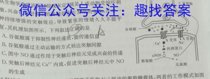 非凡吉创 2024届高三年级TOP二十名校调研考试九(243338D)生物学试题答案