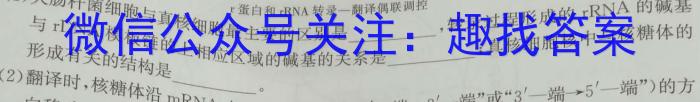 2025届四川省高三诊断考试(11.12)生物学试题答案