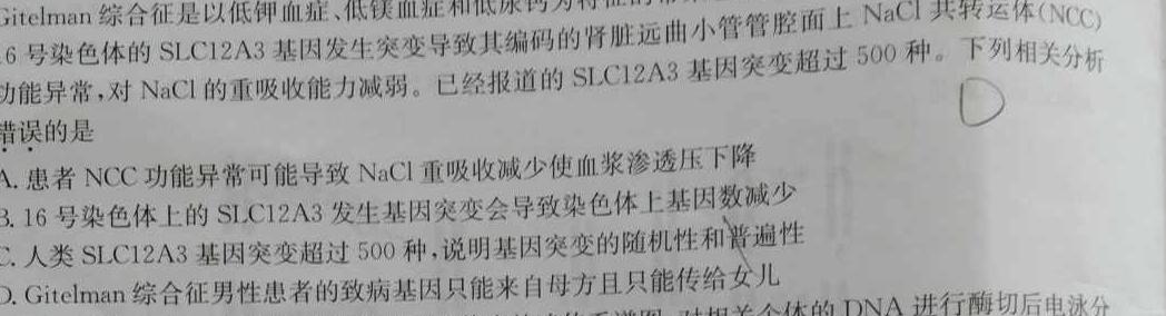 深圳高级中学（集团）中心校区2025届高三开学考试生物