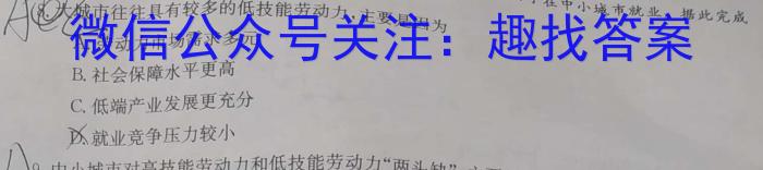 2024年陕西省初中学业水平考试全真模拟（五）B地理试卷答案