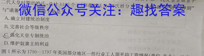 安徽省2024年中考定准卷(无标题)历史试题答案