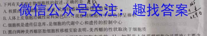 河南省郑州市2023-2024学年八年级下学期期末调研卷生物学试题答案