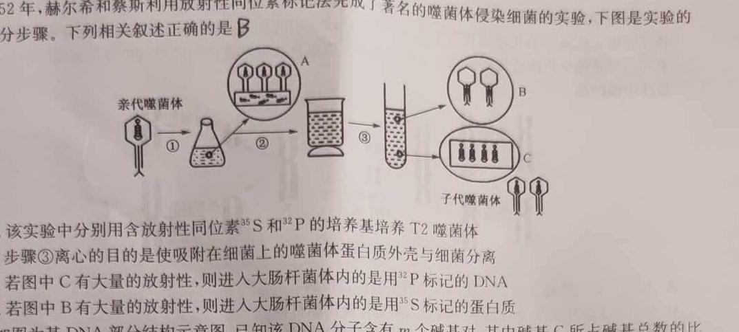 2024年河南省中招导航押题试卷(B)生物学部分